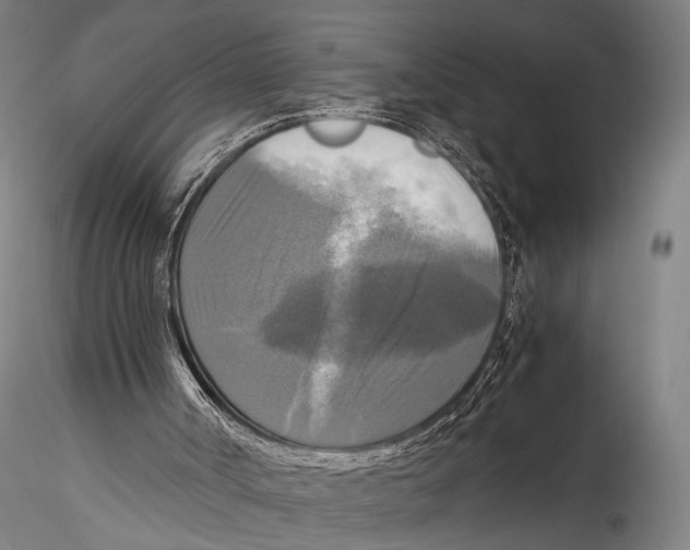 X0000115310002200911301546