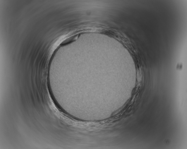 X0000115310003200911301546