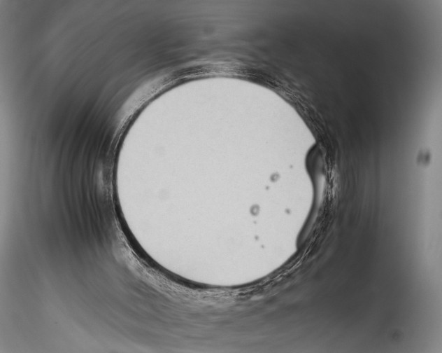 X0000115310004200911301546