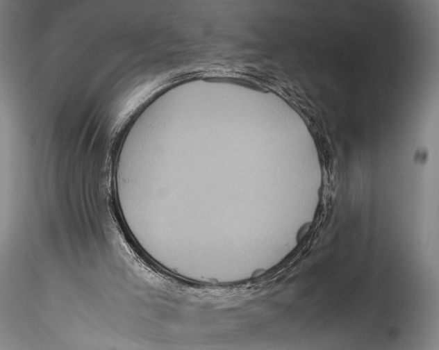 X0000115310005200911301546