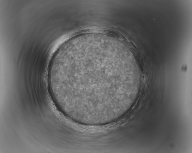 X0000115310006200911301546