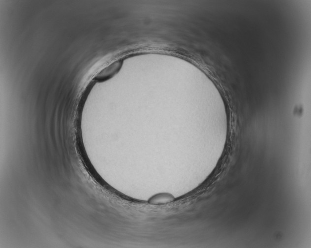 X0000115310007200911301546