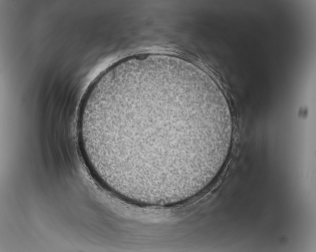 X0000115310008200911301546