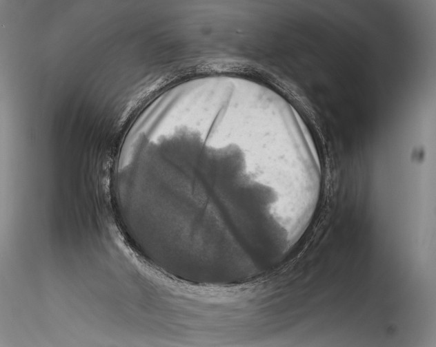 X0000115310010200911301546