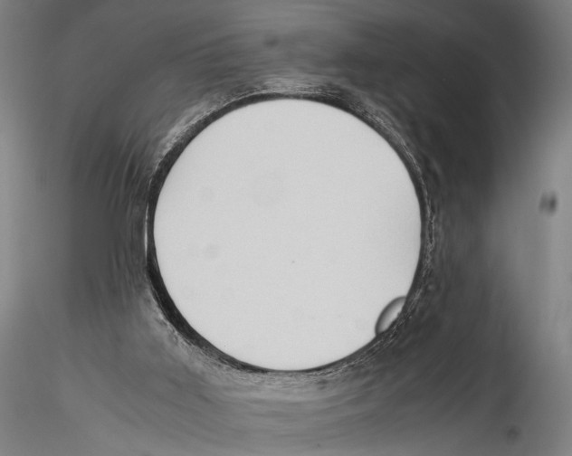 X0000115310011200911301546