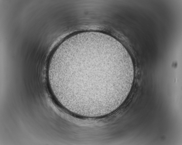 X0000115310012200911301546