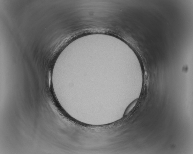 X0000115310013200911301546