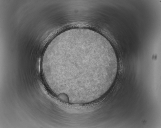 X0000115310014200911301546