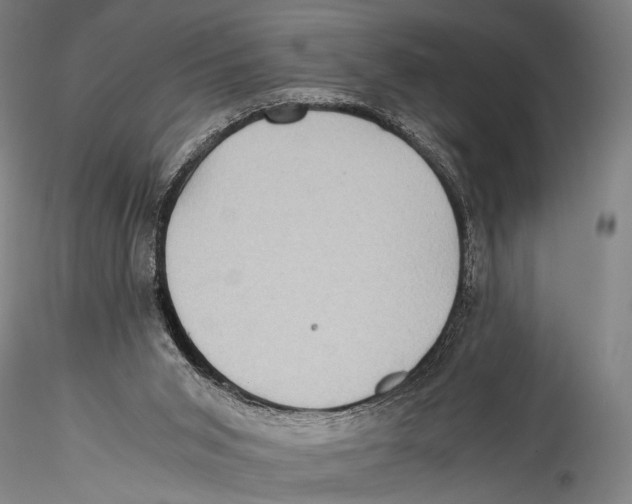 X0000115310015200911301546