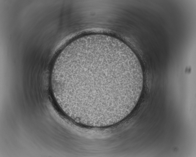 X0000115310016200911301546