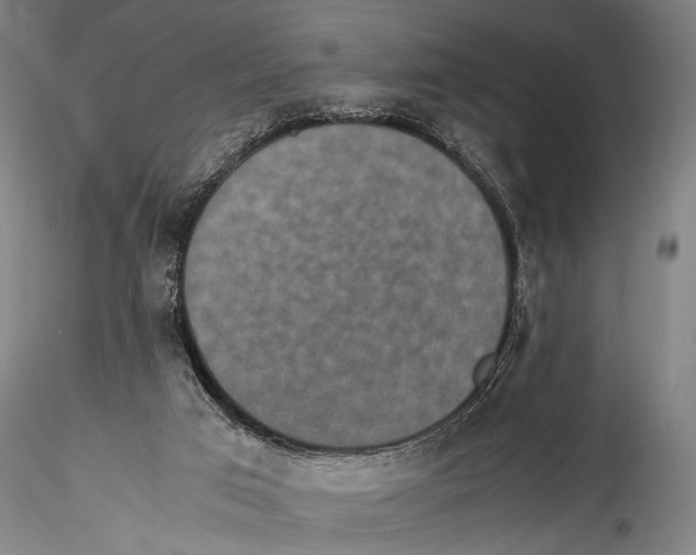 X0000115310017200911301546