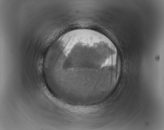 X0000115310018200911301546