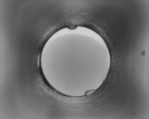 X0000115310019200911301546