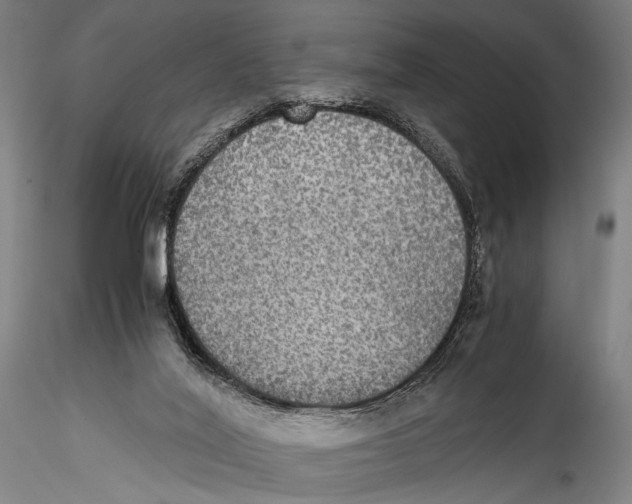 X0000115310020200911301546