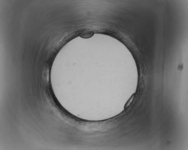 X0000115310021200911301546