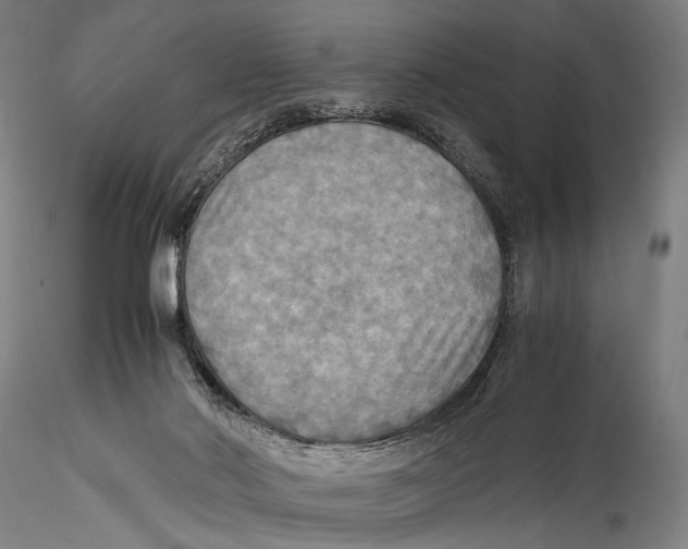 X0000115310022200911301546