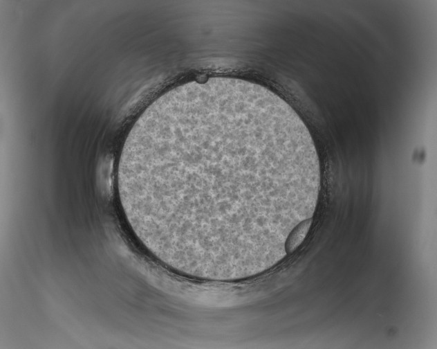 X0000115310024200911301546