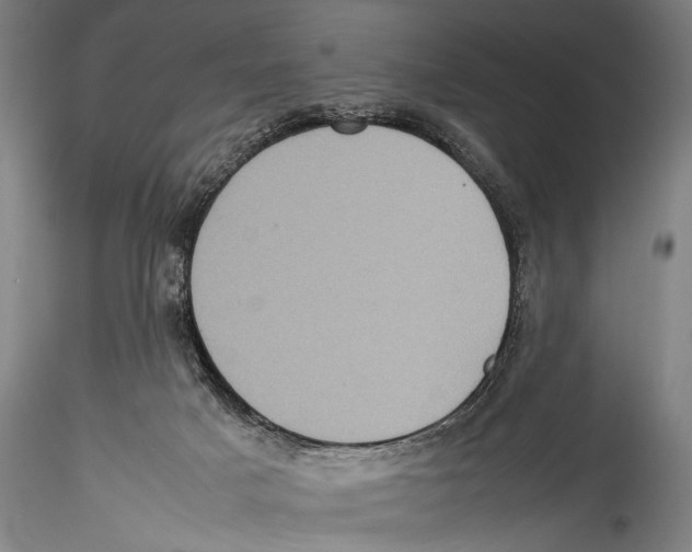 X0000115310025200911301546