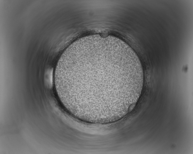 X0000115310028200911301546