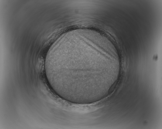 X0000115310029200911301546