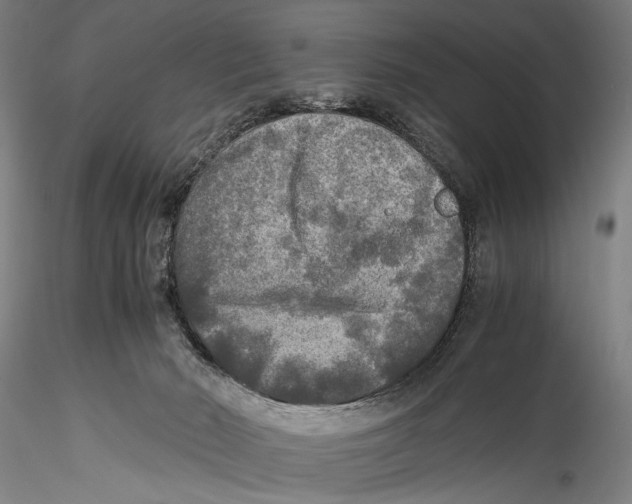 X0000115310030200911301546