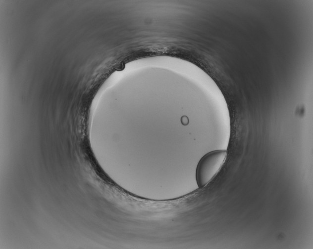 X0000115310031200911301546