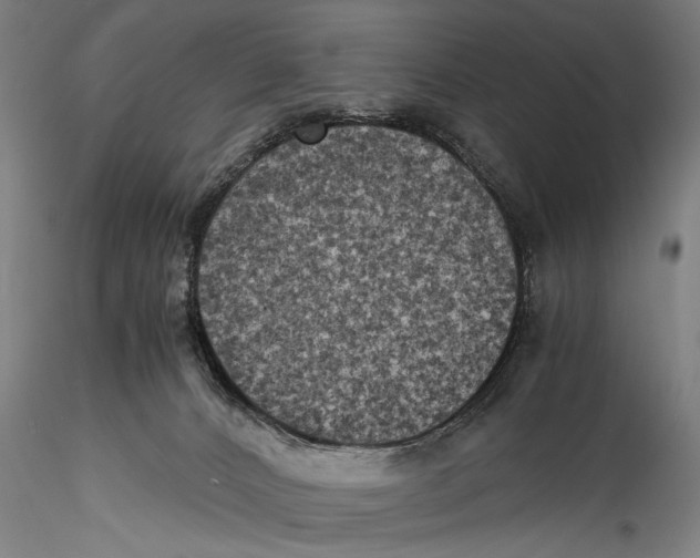 X0000115310032200911301546