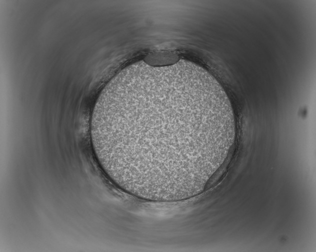 X0000115310033200911301546