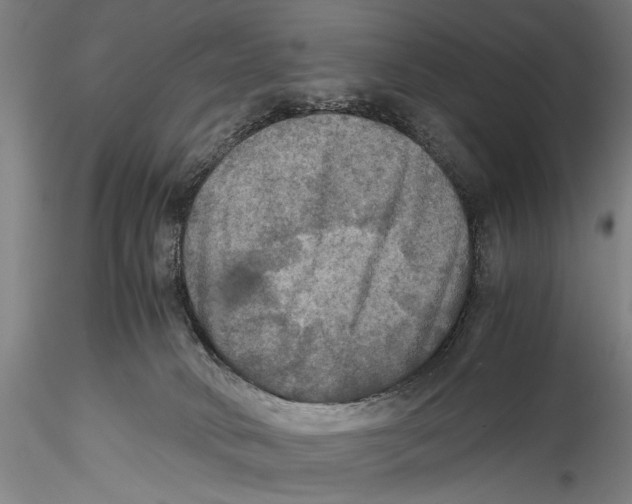 X0000115310034200911301546