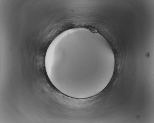 X0000115310035200911301546