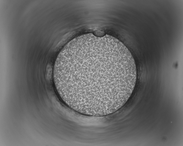 X0000115310036200911301546