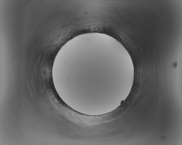 X0000115310039200911301546