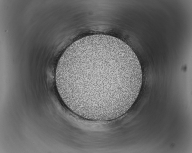 X0000115310040200911301546