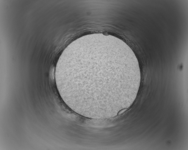 X0000115310041200911301546