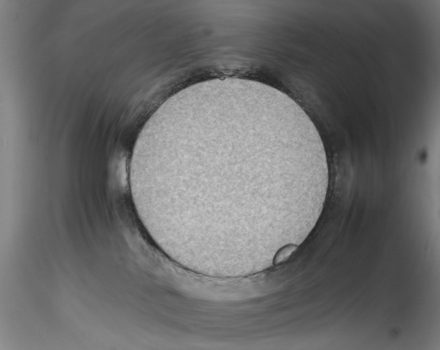 X0000115310042200911301546