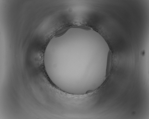 X0000115310043200911301546