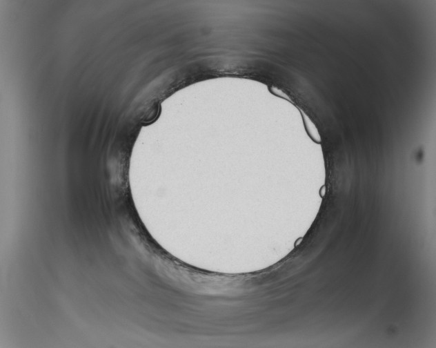 X0000115310044200911301546