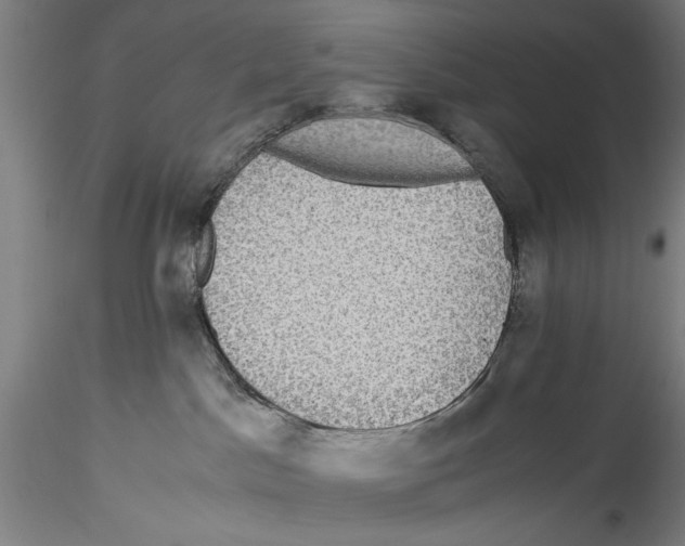 X0000115310045200911301546