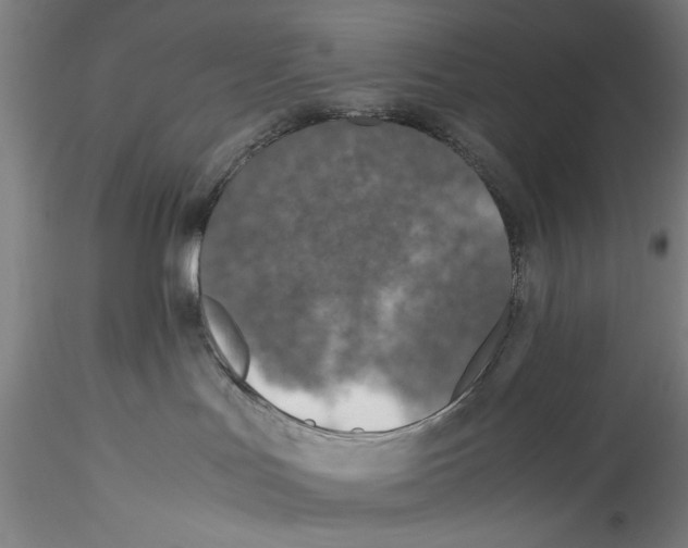 X0000115310047200911301546