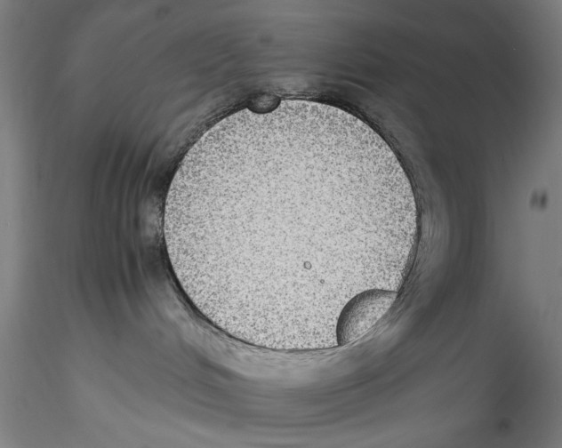 X0000115310048200911301545