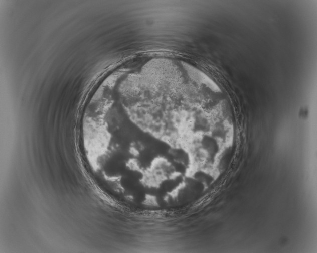 X0000115310049200911301545