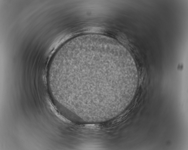 X0000115310050200911301545