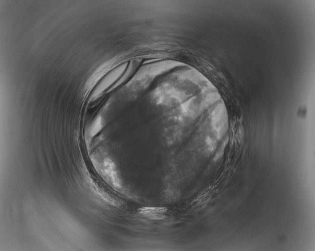 X0000115310051200911301545