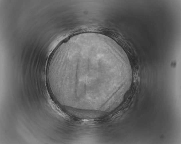 X0000115310052200911301545