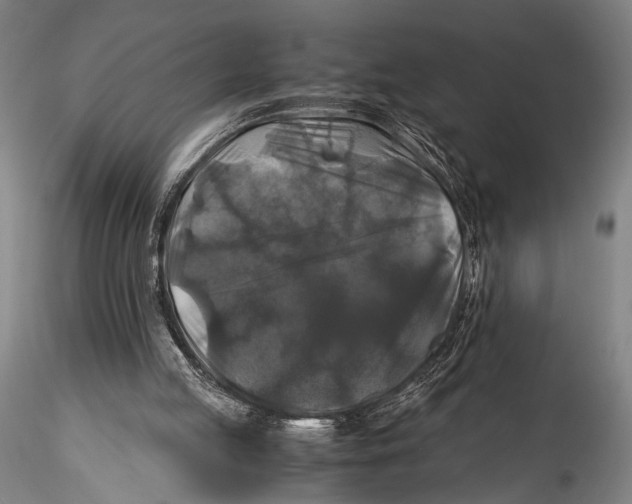 X0000115310053200911301545