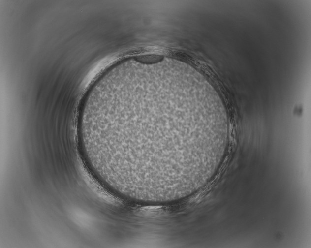 X0000115310054200911301545