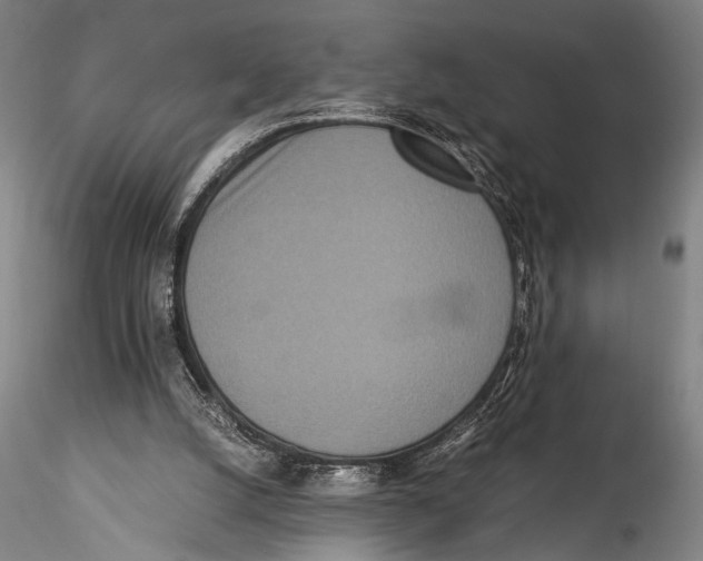 X0000115310056200911301545