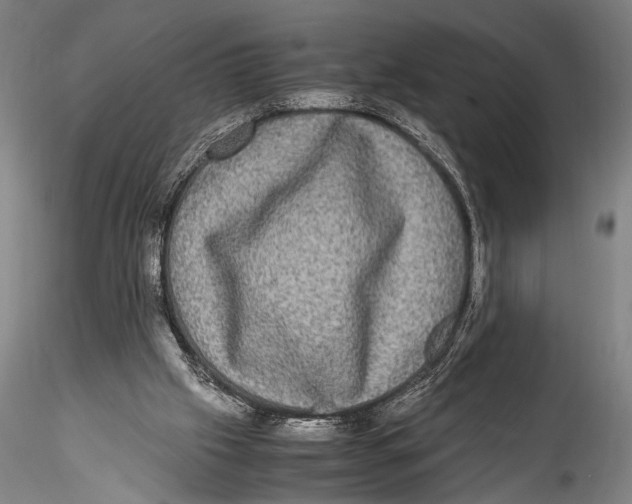 X0000115310057200911301545