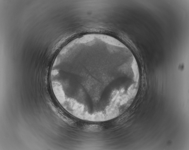 X0000115310058200911301545