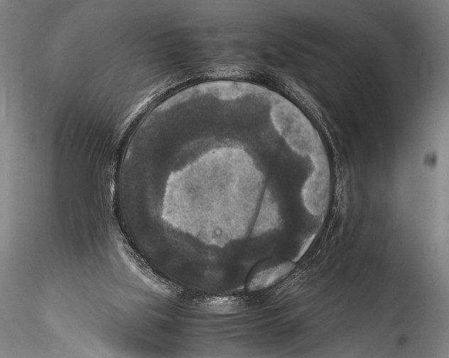 X0000115310059200911301545